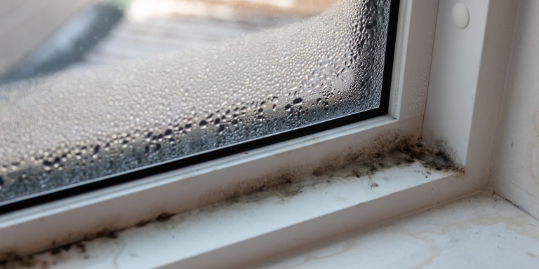 Top 10 Signs Your Michigan Home's Windows Need Replacing