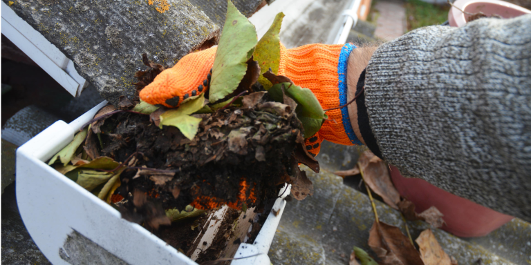 Essential Fall Gutter Maintenance Tips for Freeland Homeowners