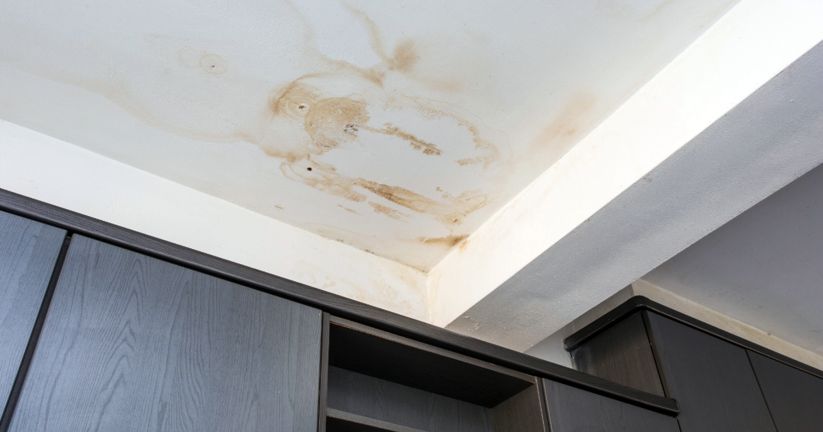 What That Leak Really Means: Common Roofing Myths Debunked